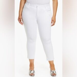 Wit and Wisdom ‘Ab’ Solution Jeans